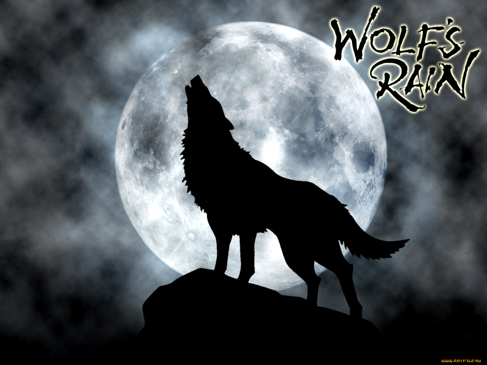 , wolf`s, rain